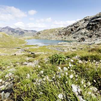 Oberer Schwarzsee über dem Madrisatal im Avers