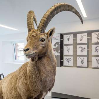 Capricorn-Ausstellung im Center da Capricorns